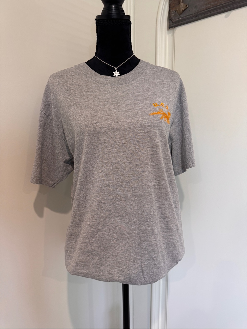 Hanes Gray Short Sleeve Tee with UCI logo